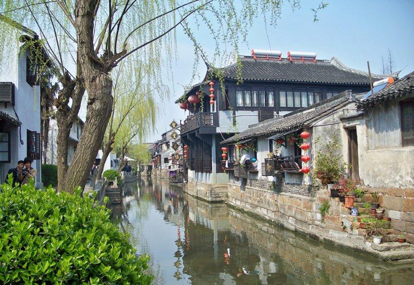 无忧国际wy6999